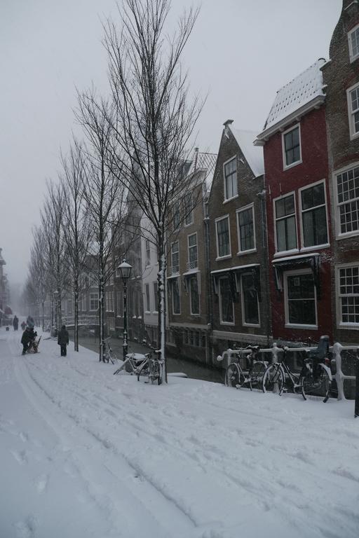 Comfortable Apartment City Centre Delft لاهاي المظهر الخارجي الصورة